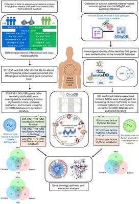 A comprehensive rhythmicity analysis of host proteins and immune factors involved in malaria pathogenesis to decipher the importance of host circadian clock in malaria